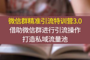 微信群精准引流特训营3.0，借助微信群进行引流操作，打造私域流量池