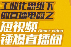 工业化思维下的直播电商之短视频锤爆直播间，听话照做执行爆单