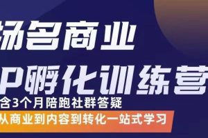 商业IP孵化训练营，从商业到内容到转化一站式学 价值5980元