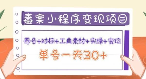 毒案小程序变现项目：养号 对标 工具素材 实操 变现