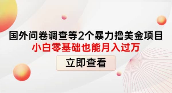 国外问卷调查等2个暴力撸美元项目，小白零基础也能月入过万