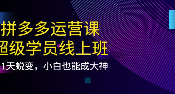 拼多多运营课：超级学员线上班，21天蜕变，小白也能成大神