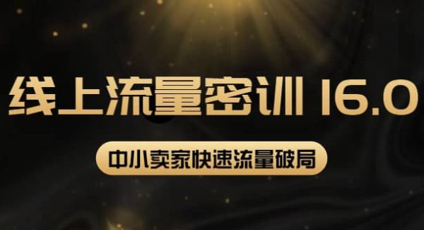 2022秋秋线上流量密训16.0：包含 暴力引流10W 中小卖家流量破局技巧 等等！