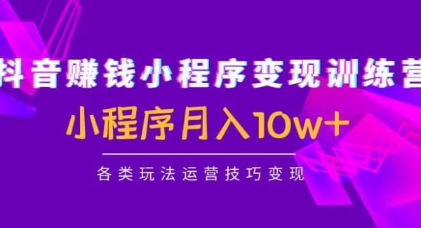 抖音小程序变现训练营：小程序各类玩法运营技巧变现