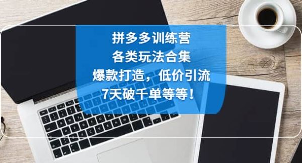 拼多多训练营：各玩法合集，爆款打造，低价引流，7天破千单等等