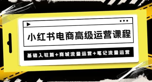 小红书电商高级运营课程：基础入驻篇 商城流量运营 笔记流量运营