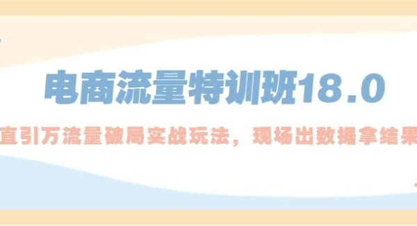 电商流量特训班18.0，直引万流量破局实操玩法，现场出数据拿结果