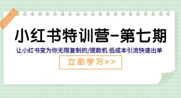 小红书特训营-第七期 让小红书变为你无限复制的/提款机 低成本引流快速出单