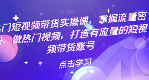 热门短视频带货实战 掌握流量密码 做热门视频 打造有流量的短视频带货账号