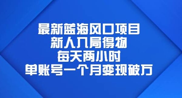 最新蓝海风口项目，新人入局得物，每天两小时，单账号一个月变现破万