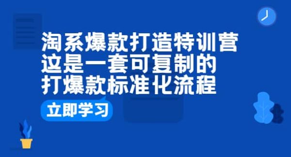 淘系爆款打造特训营：这是一套可复制的打爆款标准化流程