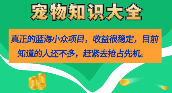 真正的蓝海小众项目，宠物知识大全，收益很稳定（教务 素材）