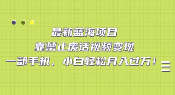 最新蓝海项目，靠禁止废话视频变现，一部手机，小白轻松月入过万！