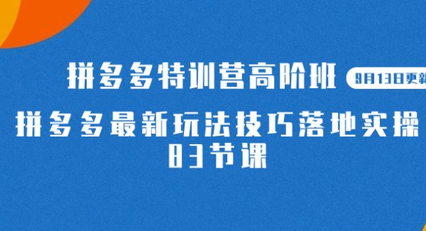 2023拼多多·特训营高阶班【9月13日更新】拼多多最新玩法技巧落地实操-83节