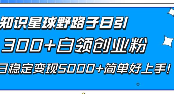 知识星球野路子日引300 白领创业粉，日稳定变现5000 简单好上手！