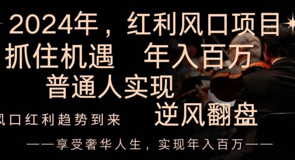 2024红利风口项目来袭，享受第一波红利，逆风翻盘普通人也能实现，年入百万